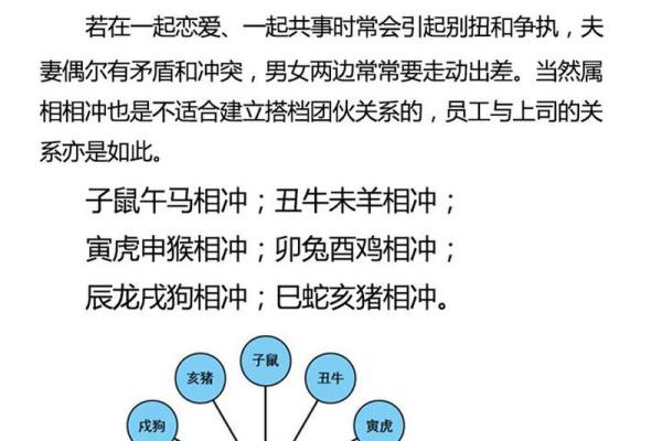 生肖相冲的生肖配对指南