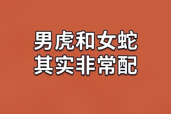 属马与属蛇的缘分是否注定