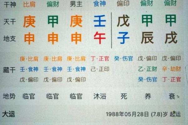 八字流月运势分析：如何抓住每月的命运契机