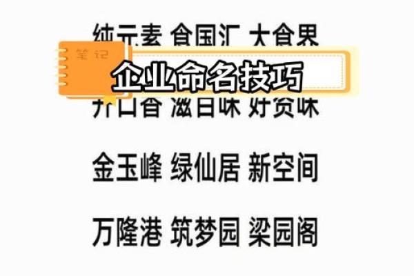 选择广州知名起名公司打造独特名字