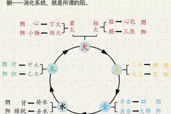 天干与脏腑关系浅析：中医五行理论的内在联系