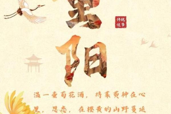 重阳节与老人的关系：为什么是他们的节日