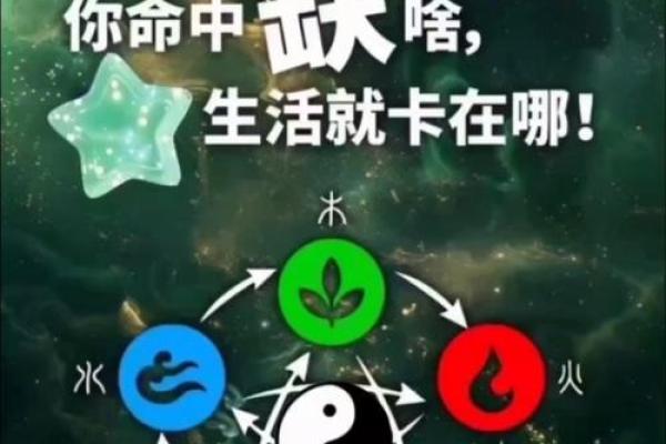 周星驰命理与事业发展：如何借助五行找到成功之路