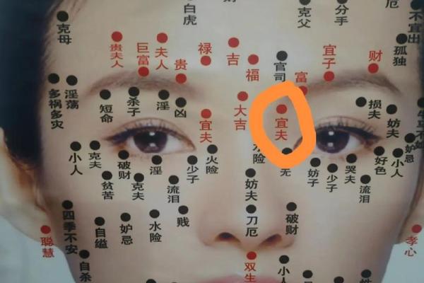 女人面部痣相解析与命运关系图解