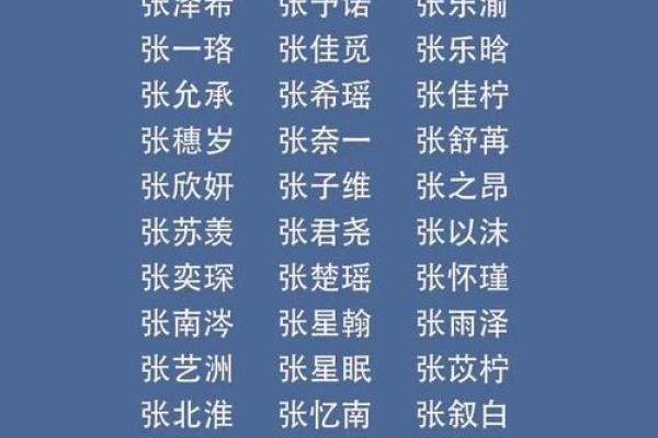 专业宝宝起名公司助力孩子未来的名字选择