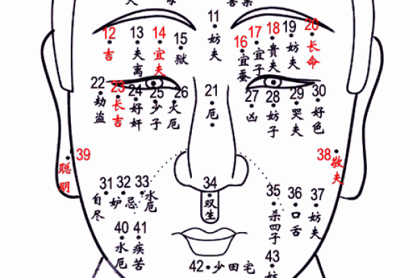 男人痣的位置与命运：面相学中的痣的秘密