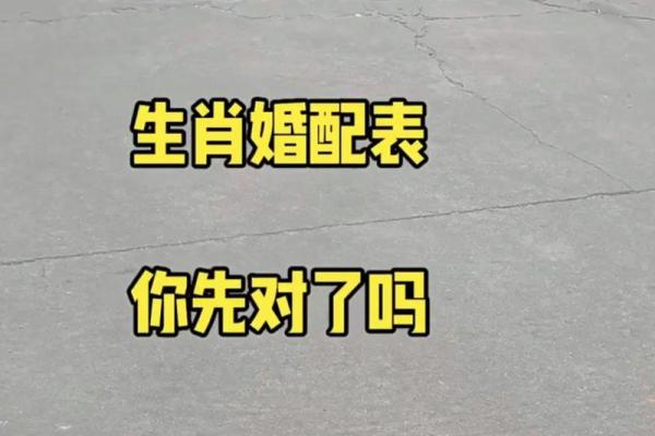 属兔女和属牛男能否携手共度一生