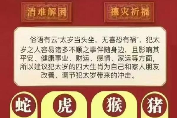 长命动物的生肖有哪些？揭秘寿命最长的生肖动物