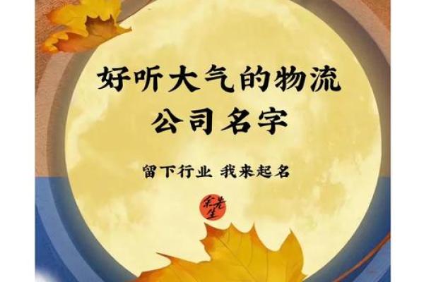 货运公司起名指南：从创意到实用的完美结合