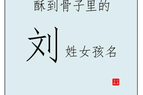 刘姓宝宝起名技巧：既传统又现代的完美结合