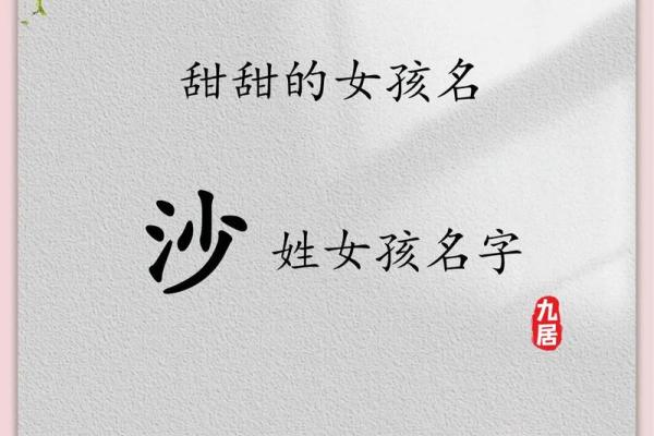 沙姓男宝宝取名指南：选择独特又有意义的名字