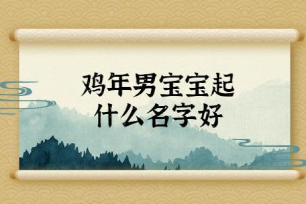 如何结合生肖特点给鸡年宝宝起个好名字