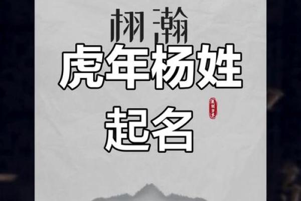 姓杨的宝宝取名建议，打造独特且吉利的名字