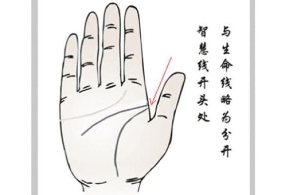 探索古代手相学的智慧与神秘世界