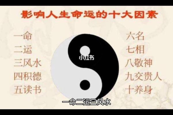 从王力宏的命理看明星运势与命运走向