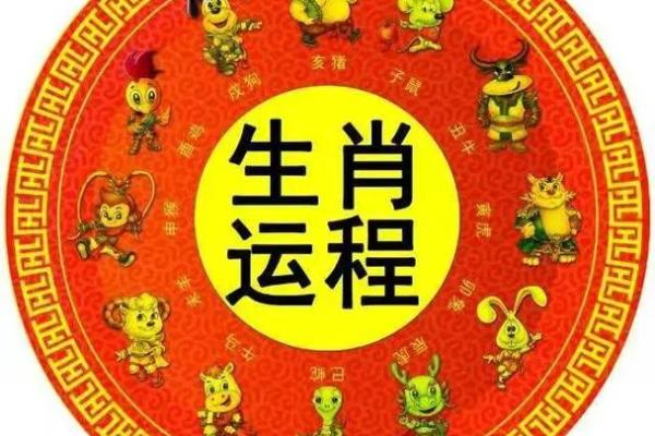 生肖甩打，运势翻倍，爆款来袭