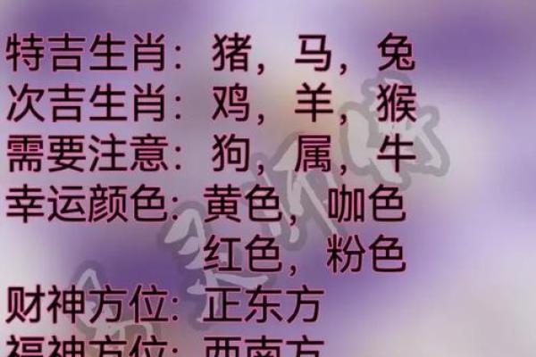 冬至佳节，十二星座运势大揭秘：谁是阴历十二月十二的幸运星？