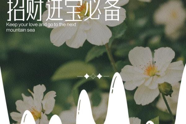 五蝠翩翩，财运亨通——家居风水秘籍，招财进宝必备