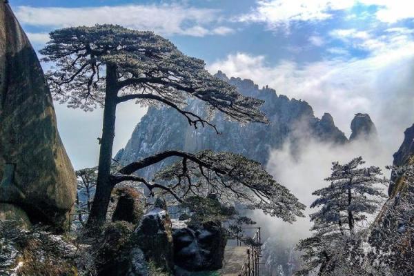 黄山起名公司：为您定制专属命名方案