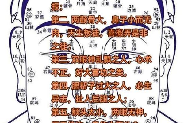 一眼识风水：面相揭秘，命运吉凶尽收眼底