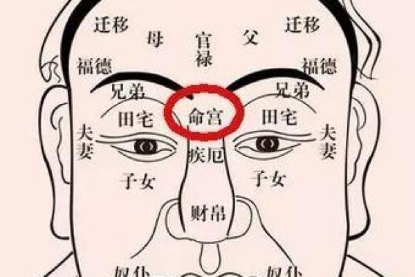 识人于面：易经智慧揭秘面相奥秘，一眼看透命运吉凶