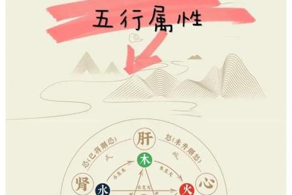 如何通过五行数找到人生中的最佳时机？