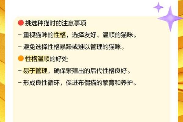 打造高效品牌形象：香港公司起名必知要点