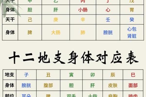 解密时辰天干背后的运势密码，你不可忽视的命理知识