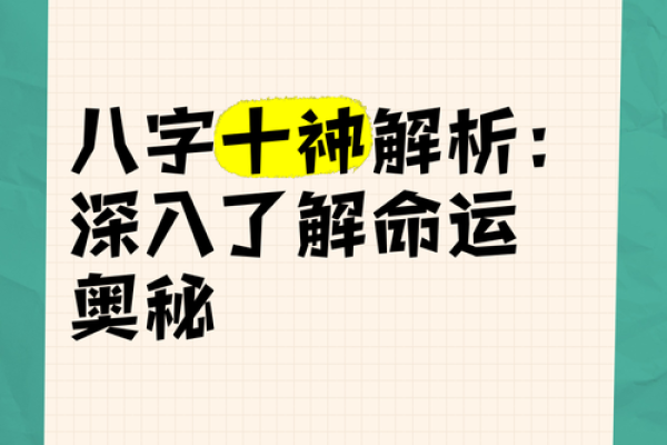 深入了解八字排盘中的十神，揭秘命运背后的奥秘