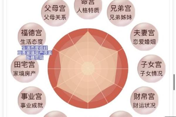 面相揭秘：性格直面解析，一眼看穿你的命运轨迹