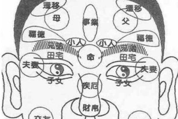 龙眼识富贵：揭秘眼睛龙宫面相的财富密码