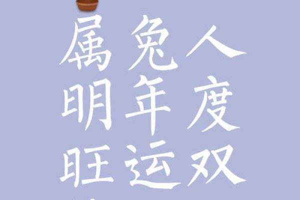 属兔小官的逆袭之路：笑傲职场，事业腾飞