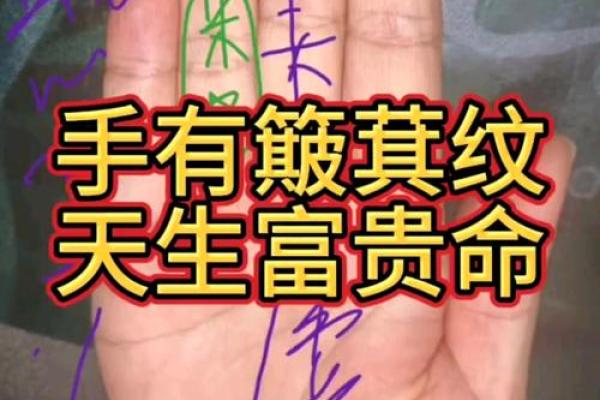 一招看手相，揭秘你的富贵命运
