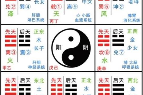 命理到底是什么？揭秘神秘的命运学问