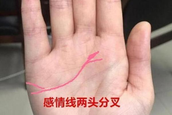 手相揭秘：你的际遇命运一览无余