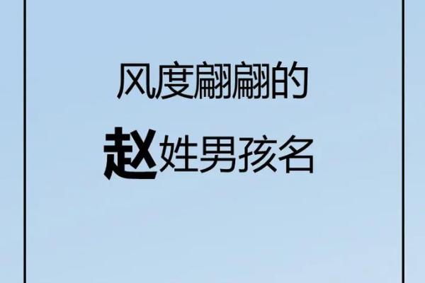 赵起名字大全：如何为赵姓宝宝取个有意义的名字