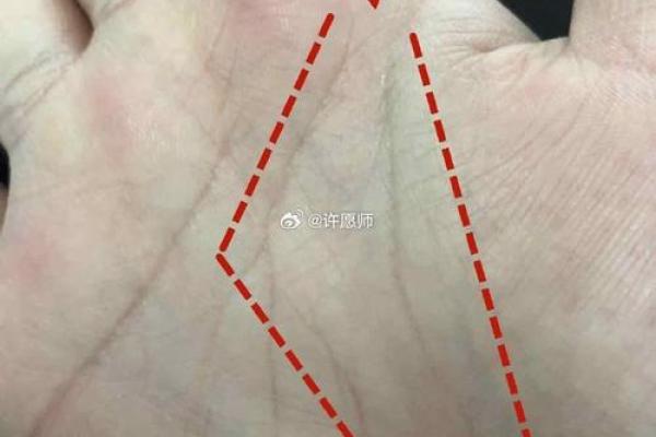 一掌在手，财运亨通：揭秘手相算考运的神奇技巧