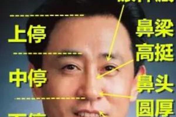 揭秘面相奥秘：山根部位，预示着怎样的命运走向？