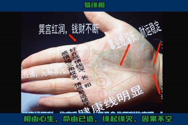 掌中乾坤，揭秘手相中的运势密码
