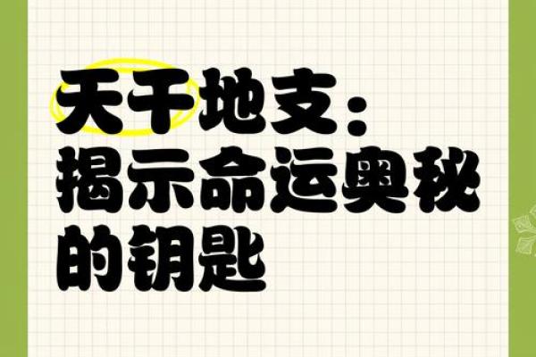 解锁天干大运：预测未来的命运密码