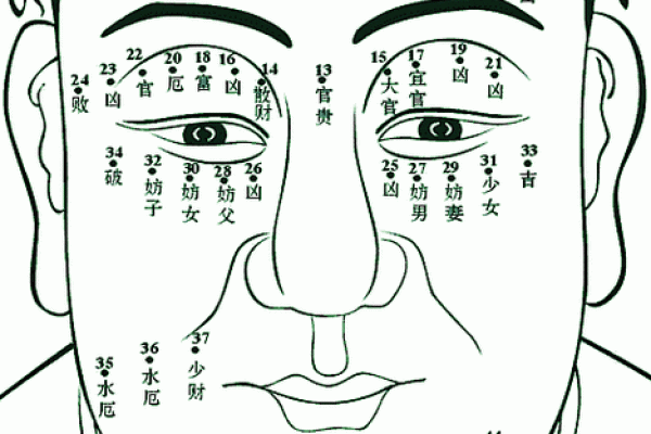 人头痣相术宝典：一痣在手，命运全收