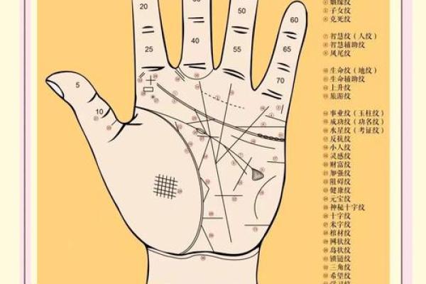 揭秘手相奥秘：手相知识大全图解，一图掌握命运密码