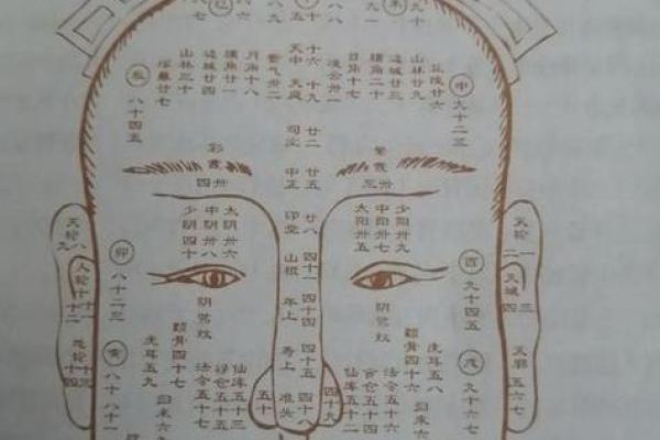 面相揭秘：严肃解析，一眼看穿命运起伏