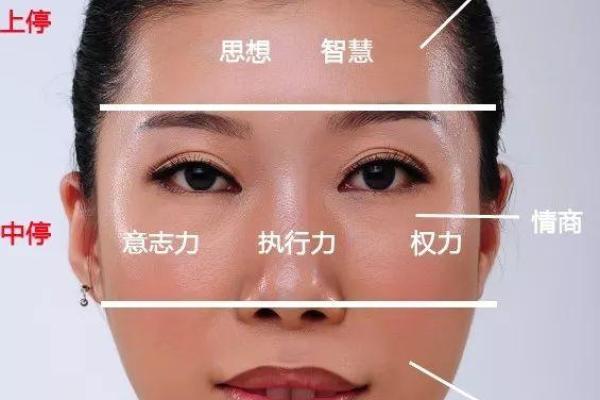 面相揭秘：严肃解析，一眼看穿命运起伏