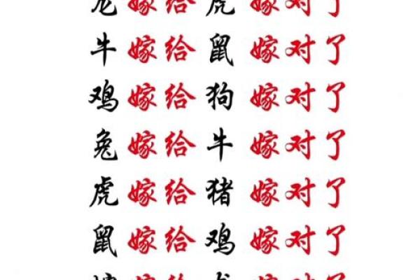 猪龙配对，天作之合？