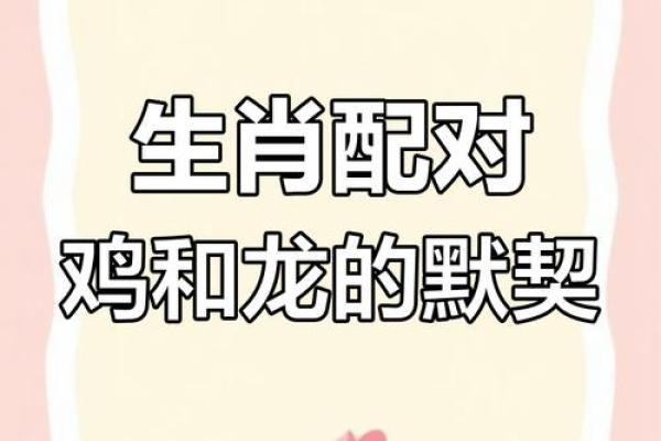 猪龙配对，天作之合？