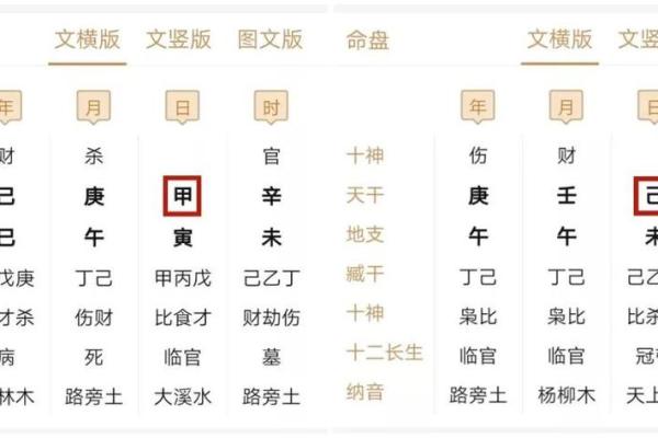 日天干木背后的秘密，如何看懂你的八字