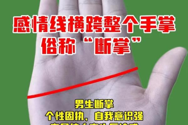 川手相揭秘：情缘薄如纸，命运如何转折？