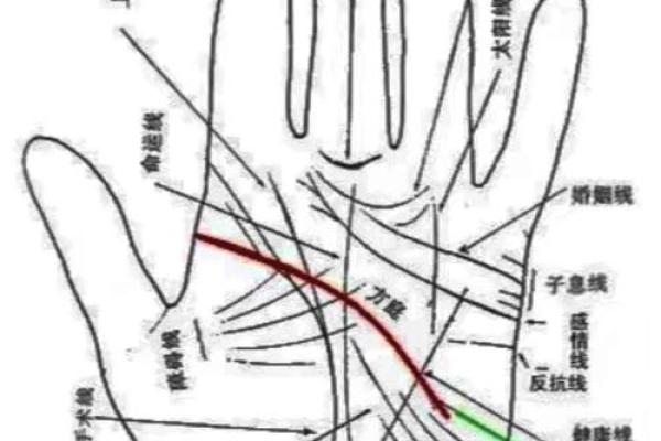 手相揭秘：心线揭示你的内心世界，揭秘你的人生轨迹
