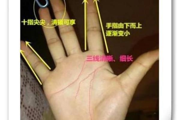 天蝎射手手相揭秘：神秘魅力，缘分深浅一触即知
